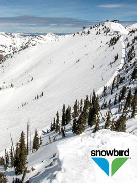 snowbird ski resort webcam.